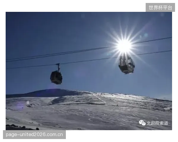 部分滑雪场完全依赖索道原厂的“黑箱式”检测服务，这种模式是否正在削弱自身建立核心运维诊断能力的机会？